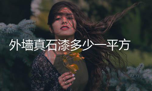 外墙真石漆多少一平方 外墙真石漆特点和选购