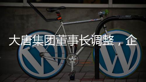 大唐集团董事长调整，企业变革的新篇章