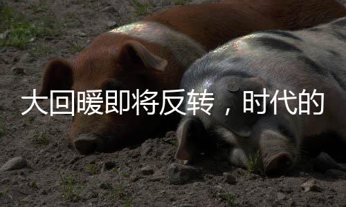 大回暖即将反转，时代的新篇章