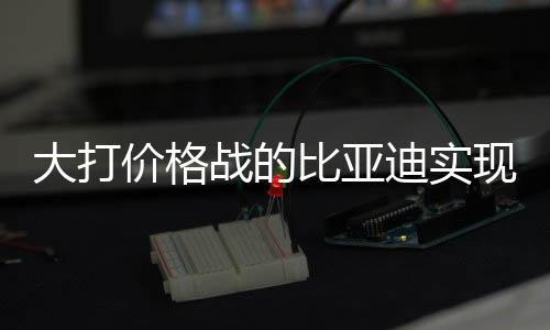 大打价格战的比亚迪实现净赚400亿元，战略调整与技术创新铸就成功之道