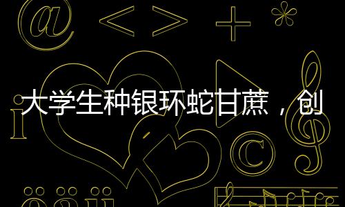 大学生种银环蛇甘蔗，创新农业与生态保护结合的新篇章