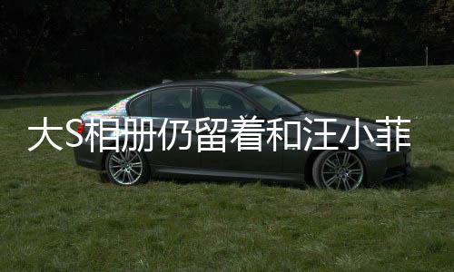 大S相册仍留着和汪小菲合影，情感纠葛再度引发关注
