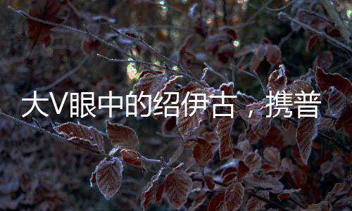 大V眼中的绍伊古，携普京重托而来，展现俄中友好新篇章