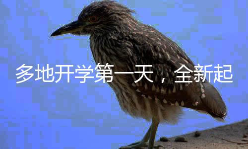 多地开学第一天，全新起点，期待与现实的交织