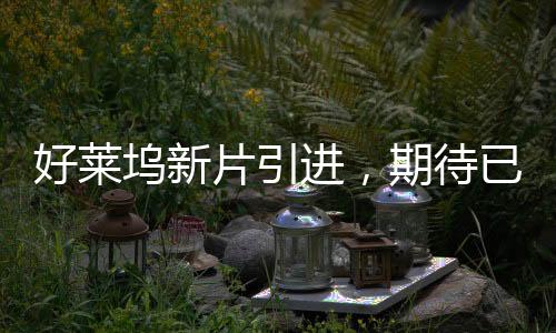 好莱坞新片引进，期待已久的大片盛宴即将上演