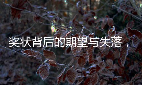 奖状背后的期望与失落，一句含金量不高的话让孩子心灵受伤
