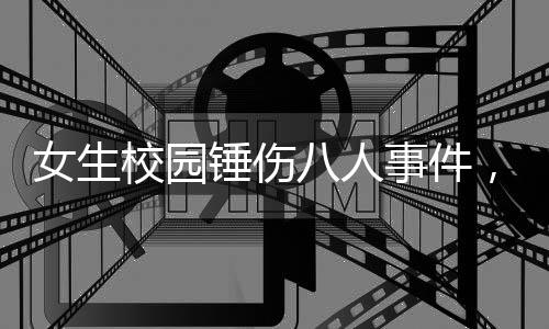 女生校园锤伤八人事件，震惊校园的安全漏洞