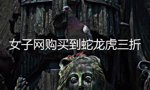女子网购买到蛇龙虎三折叠春联，喜庆新春传统文化走进千家万户