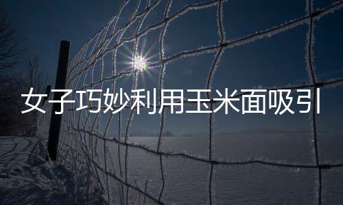 女子巧妙利用玉米面吸引二级保护动物，人与自然的和谐新篇章