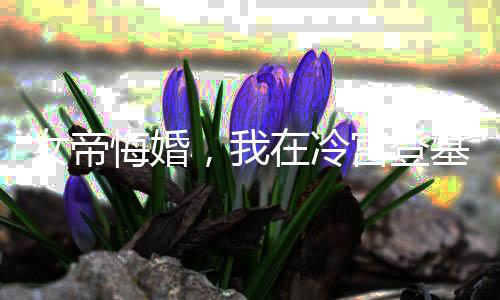 女帝悔婚，我在冷宫登基称帝
