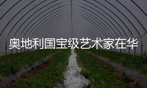 奥地利国宝级艺术家在华首个美术馆个展亮相上海黄浦江畔