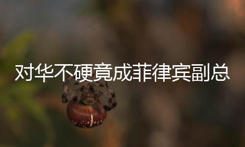 对华不硬竟成菲律宾副总统被弹劾之由——多维度解读中菲关系现状