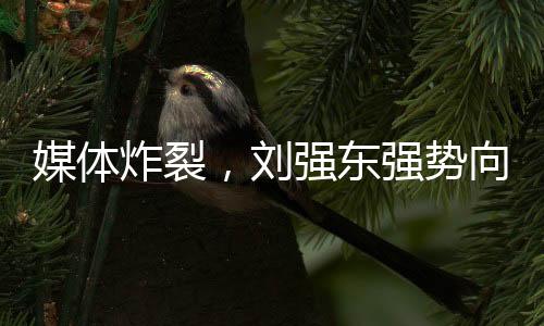 媒体炸裂，刘强东强势向美团宣战！两大巨头开启商业争霸新篇章