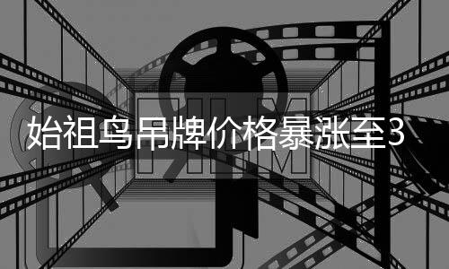始祖鸟吊牌价格暴涨至300元，收藏界的热潮引发市场热议