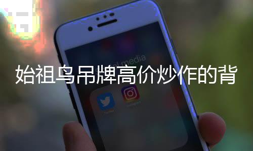 始祖鸟吊牌高价炒作的背后故事