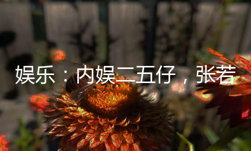 娱乐：内娱二五仔，张若楠让我凿