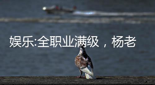 娱乐:全职业满级，杨老板求蹭饭