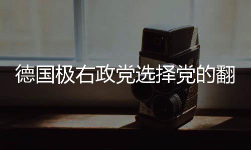 德国极右政党选择党的翻盘之路，能否改变局势引关注
