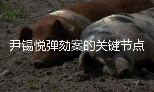 尹锡悦弹劾案的关键节点解析