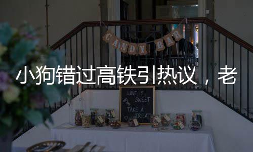 小狗错过高铁引热议，老人背狗离去，人性与规则的碰撞