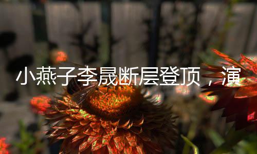 小燕子李晟断层登顶，演艺巅峰之路