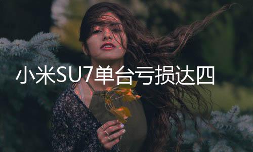 小米SU7单台亏损达四万五千元，深入解读背后的原因与应对策略