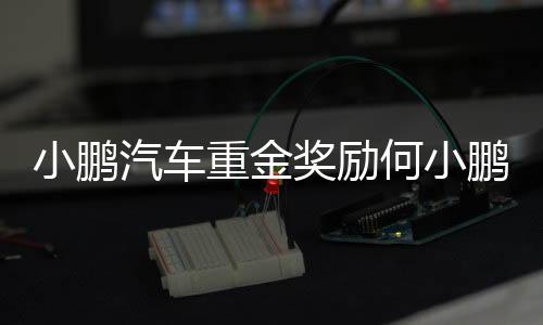 小鹏汽车重金奖励何小鹏，若达成条件将价值142.5亿港元
