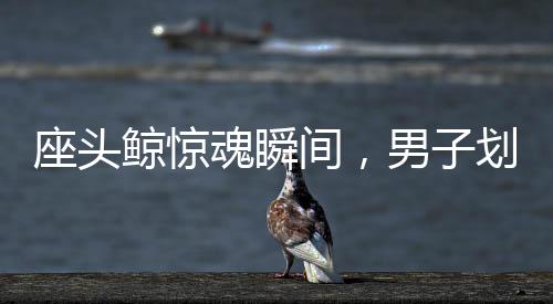 座头鲸惊魂瞬间，男子划船遭鲸口吞噬后奇迹生还