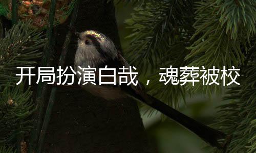 开局扮演白哉，魂葬被校花直播！