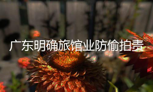 广东明确旅馆业防偷拍责任