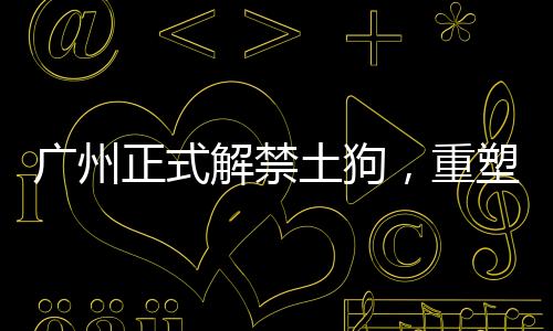 广州正式解禁土狗，重塑城市与本土犬种和谐共生的新篇章