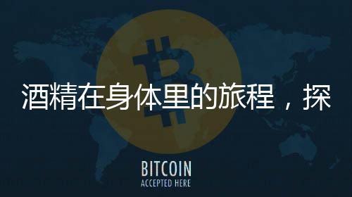 酒精在身体里的旅程，探究酒精对身体的影响