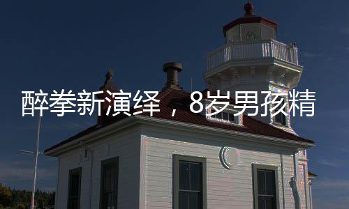 醉拳新演绎，8岁男孩精彩拜年