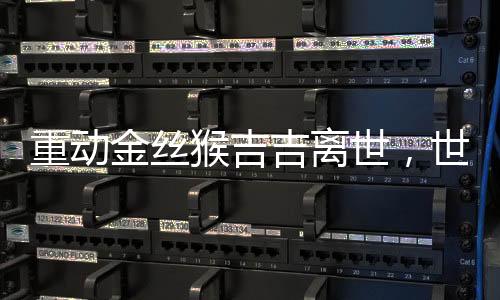 重动金丝猴吉吉离世，世界濒危物种的保护再敲警钟