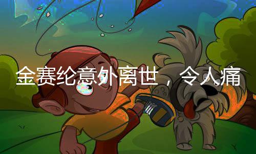 金赛纶意外离世，令人痛心
