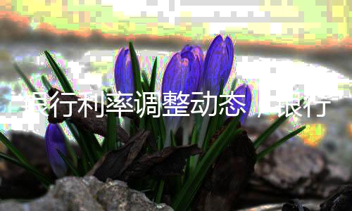 银行利率调整动态，银行一年期利率上调高于两年期利率三十个基点