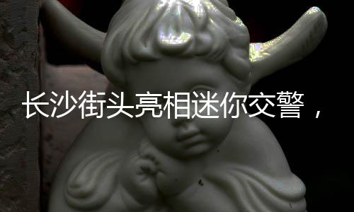 长沙街头亮相迷你交警，引领安全新风尚