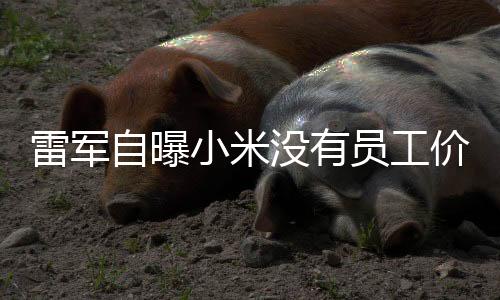 雷军自曝小米没有员工价，揭秘企业内部的真实面貌（新闻文章）