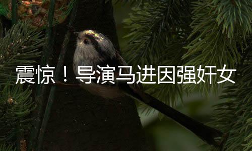震惊！导演马进因强奸女星被判刑，行业内部曝光