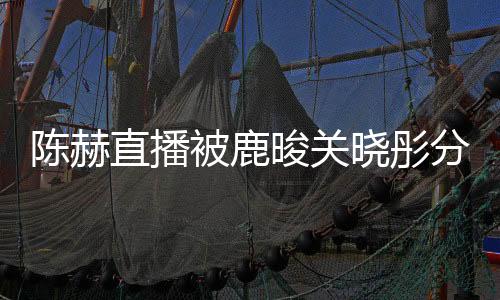 陈赫直播被鹿晙关晓彤分手传闻刷屏，娱乐圈的微妙变化引热议