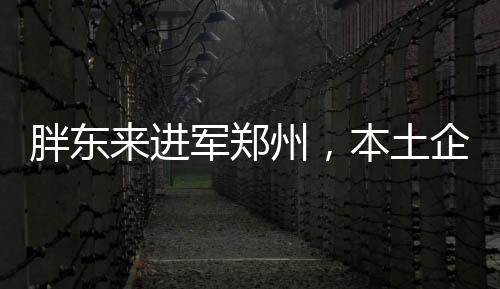 胖东来进军郑州，本土企业拓展新篇章
