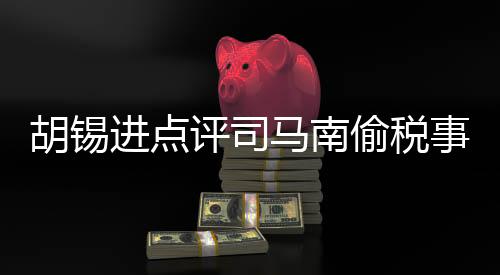 胡锡进点评司马南偷税事件，一场关于公众人物责任与担当的讨论