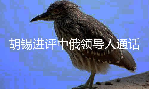 胡锡进评中俄领导人通话，世界级影响的战略对接