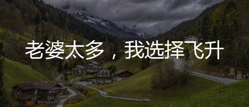 老婆太多，我选择飞升