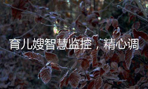 育儿嫂智慧监控，精心调整摄像头机位，保障宝宝安全成长