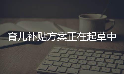 育儿补贴方案正在起草中，一揽子计划助力家庭育儿事业蓬勃发展