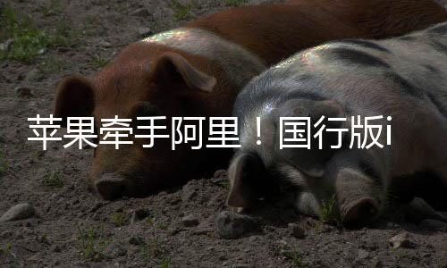 苹果牵手阿里！国行版iPhone AI功能来了：目标5月推出