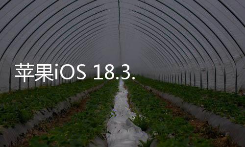 苹果iOS 18.3.1正式版发布 修复重大漏洞