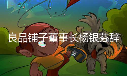 良品铺子董事长杨银芬辞职，企业转型的关键时刻的重大人事变动