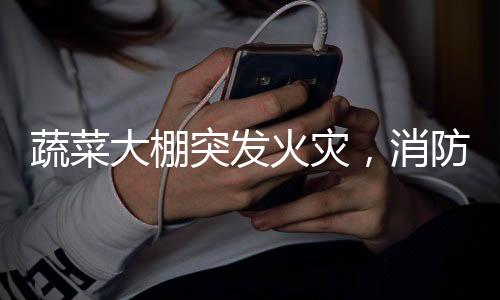 蔬菜大棚突发火灾，消防英勇扑救一个半小时